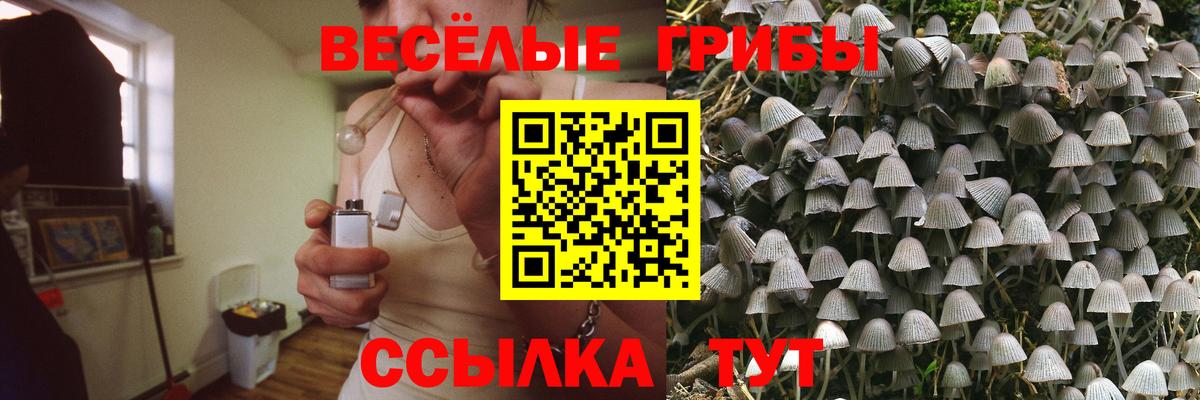 Галлюциногенные грибы Magic Shrooms  Галлюциногенные грибы Magic Shrooms  Ессентуки  как найти   Вход с VPN 