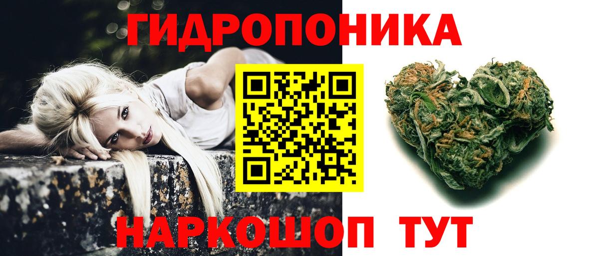 Канабис Ganja Ессентуки